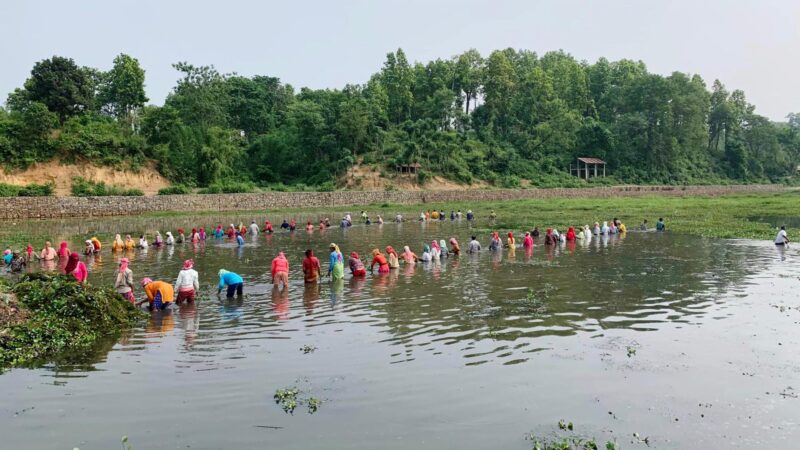 Local Community Rallies to Preserve Taruwa Lake in Kawasoti