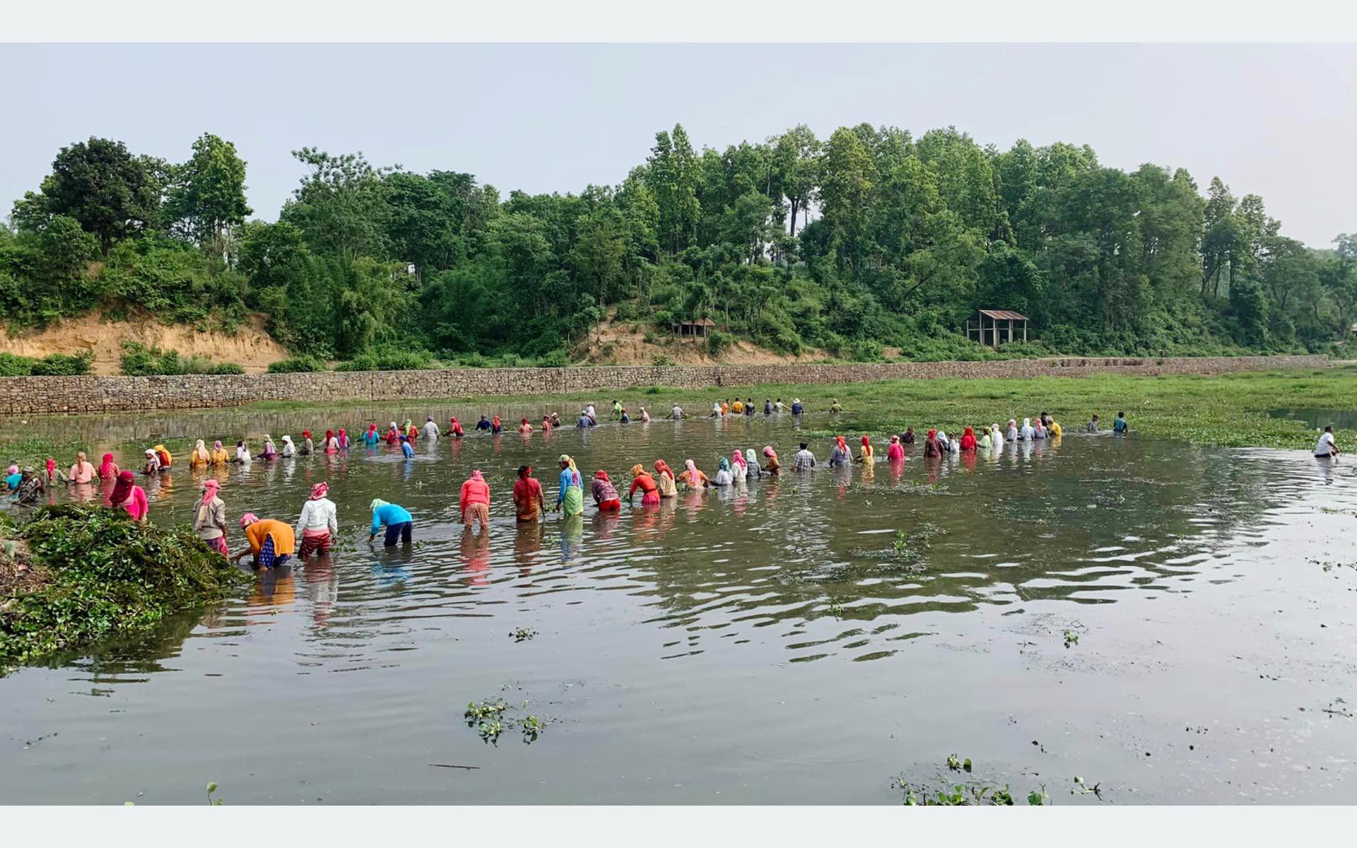 Local Community Rallies to Preserve Taruwa Lake in Kawasoti