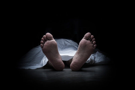 Tragic Incident at Makalu Barun National Park: Employee Found Deceased