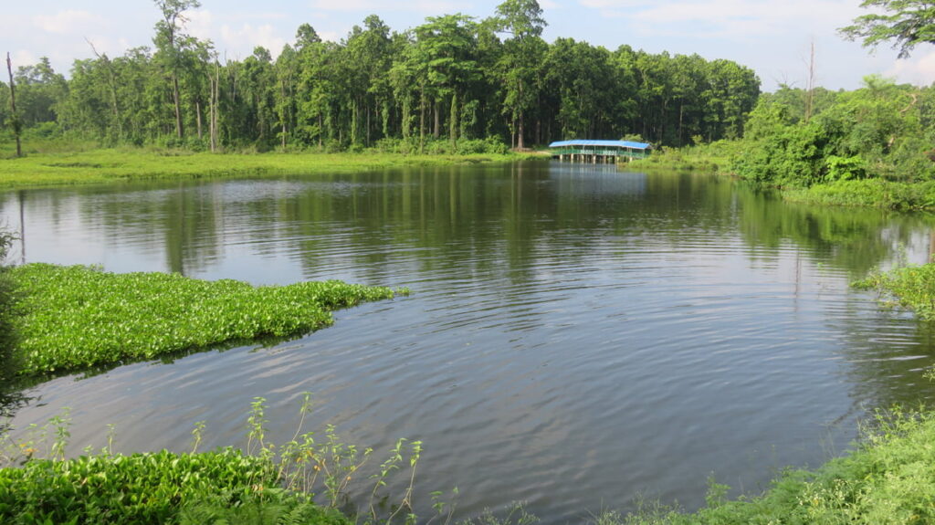 Belbari Emerges as Prime Tourist Spot for Nature Enthusiasts