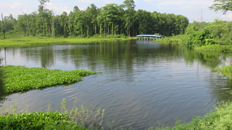 Belbari Emerges as Prime Tourist Spot for Nature Enthusiasts
