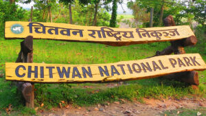 Conservation Areas Reign Supreme, Pulling 60% of Nepal’s Foreign Visitors