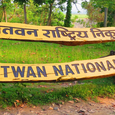 Urgent Halt: Chitwan National Park Suspends Jeep Safari to Protect Wildlife Breeding