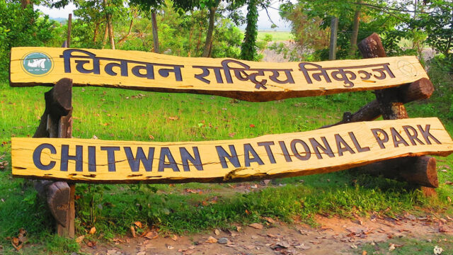 Massive Relief Unleashed: Chitwan National Park Grants Rs. 12.3 Million to Wildlife-Affected Victims