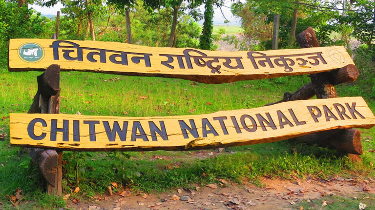 Massive Relief Unleashed: Chitwan National Park Grants Rs. 12.3 Million to Wildlife-Affected Victims