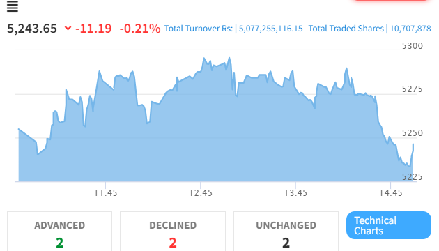 Hotel and Tourism Sector Faces Minor Setback Amidst NEPSE Index Increase