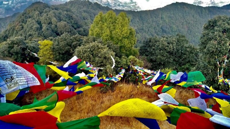 From City Bustle to Mountain Peace: The Jamacho Gumba Trek