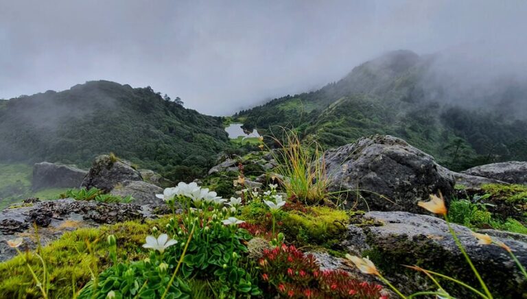 First Mundhum Ultra Trail Race to Promote Adventure Tourism in Bhojpur
