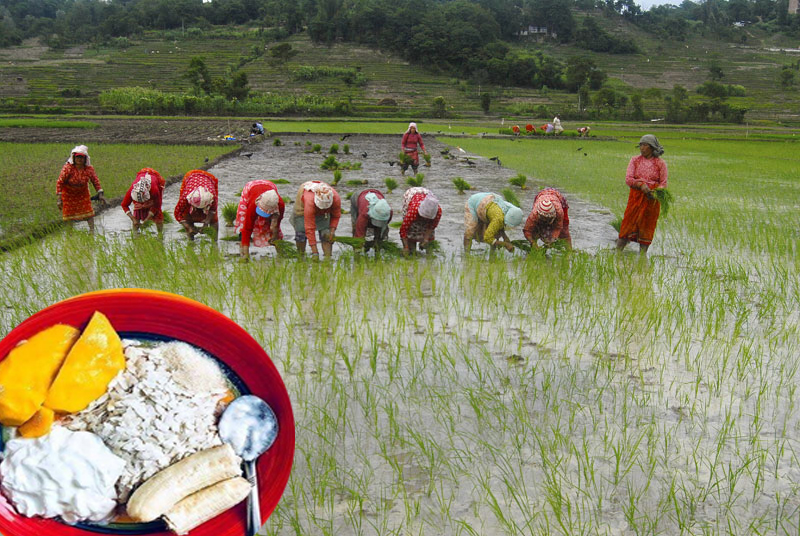 Tomorrow Marks Ashadh 15: Significance and Celebrations