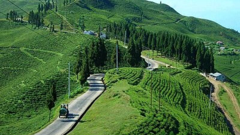 Ilam District Emerges as a Promising Destination for Tourism