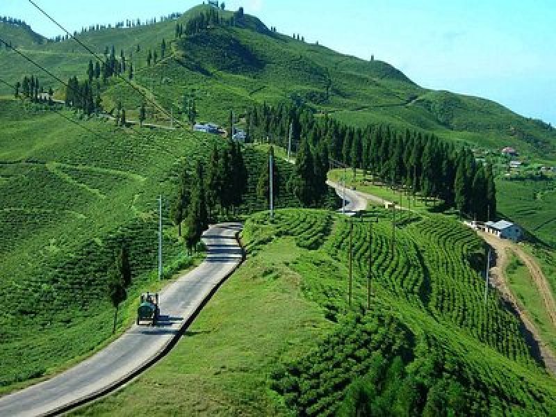 Ilam District Emerges as a Promising Destination for Tourism