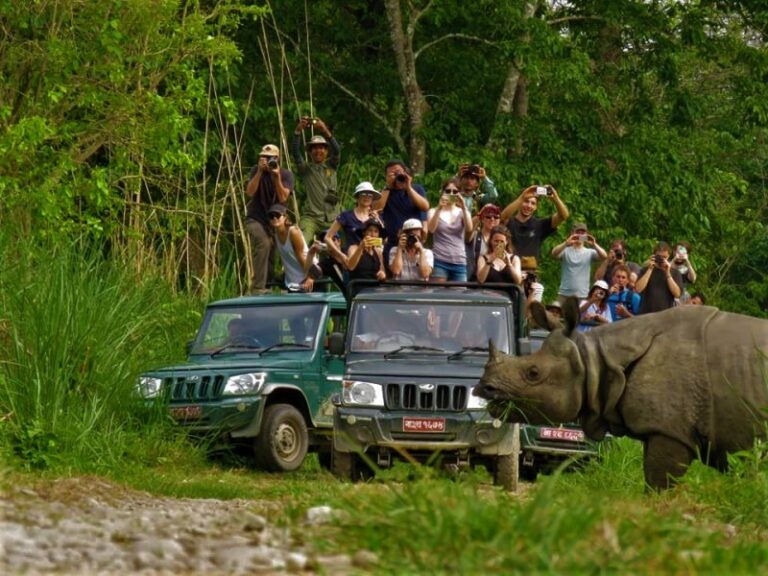 Tourist Numbers Drop By 37% At Chitwan National Park, Revenue Also Declines