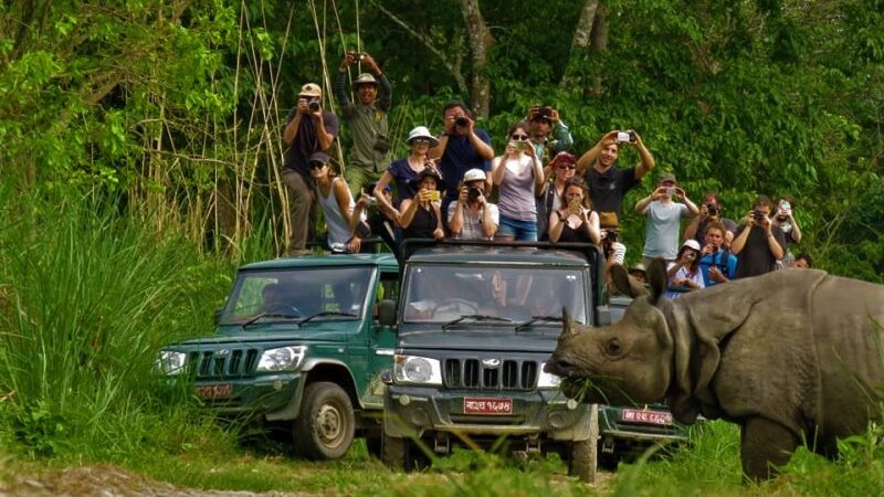 Chitwan National Park Halts Safari Activities Due to Monsoon