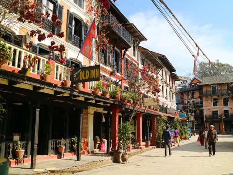 Year 2081 B.S. Success Story: Bandipur Attracts 200,000 Tourists