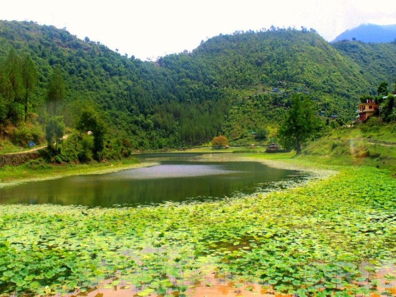 Kamal Tal: A Hidden Gem in Rukum East