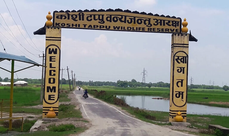 Koshi Tappu Wildlife Reserve Aims to Enhance Tourism Potential