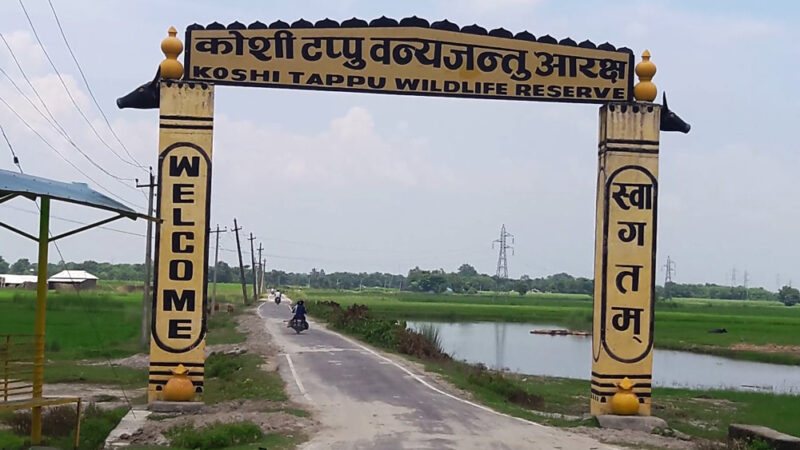Koshi Tappu Wildlife Reserve Aims to Enhance Tourism Potential