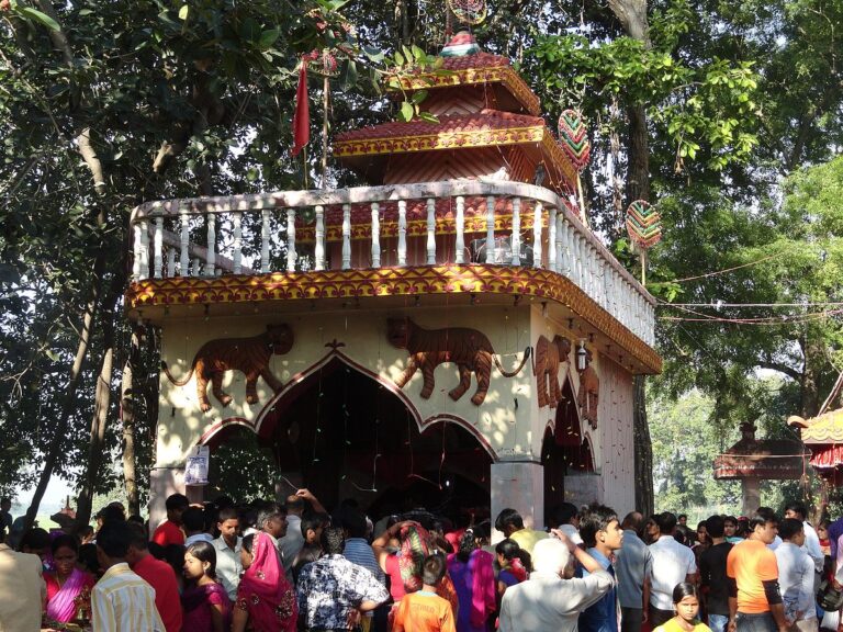 Gadhi Mai Festival: A Gateway to Cultural Riches and Tourism Growth in Nepal