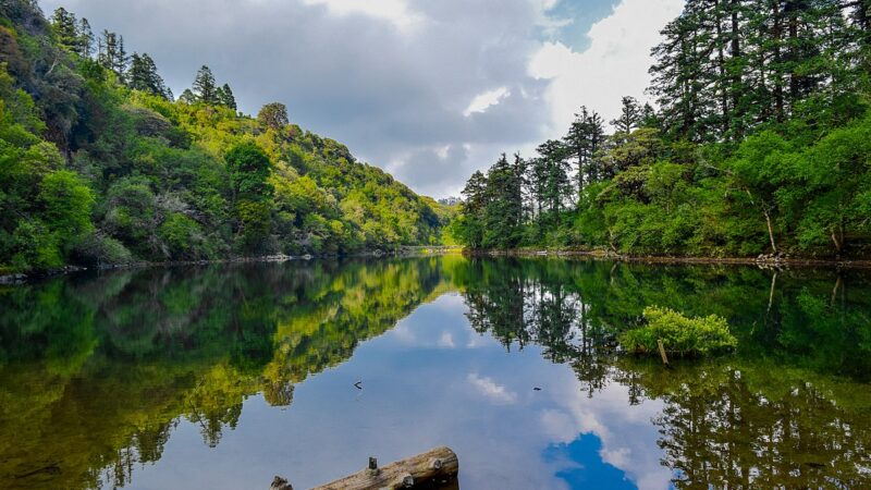 Exploring Khaptad Lake: A Hidden Gem for Tourists