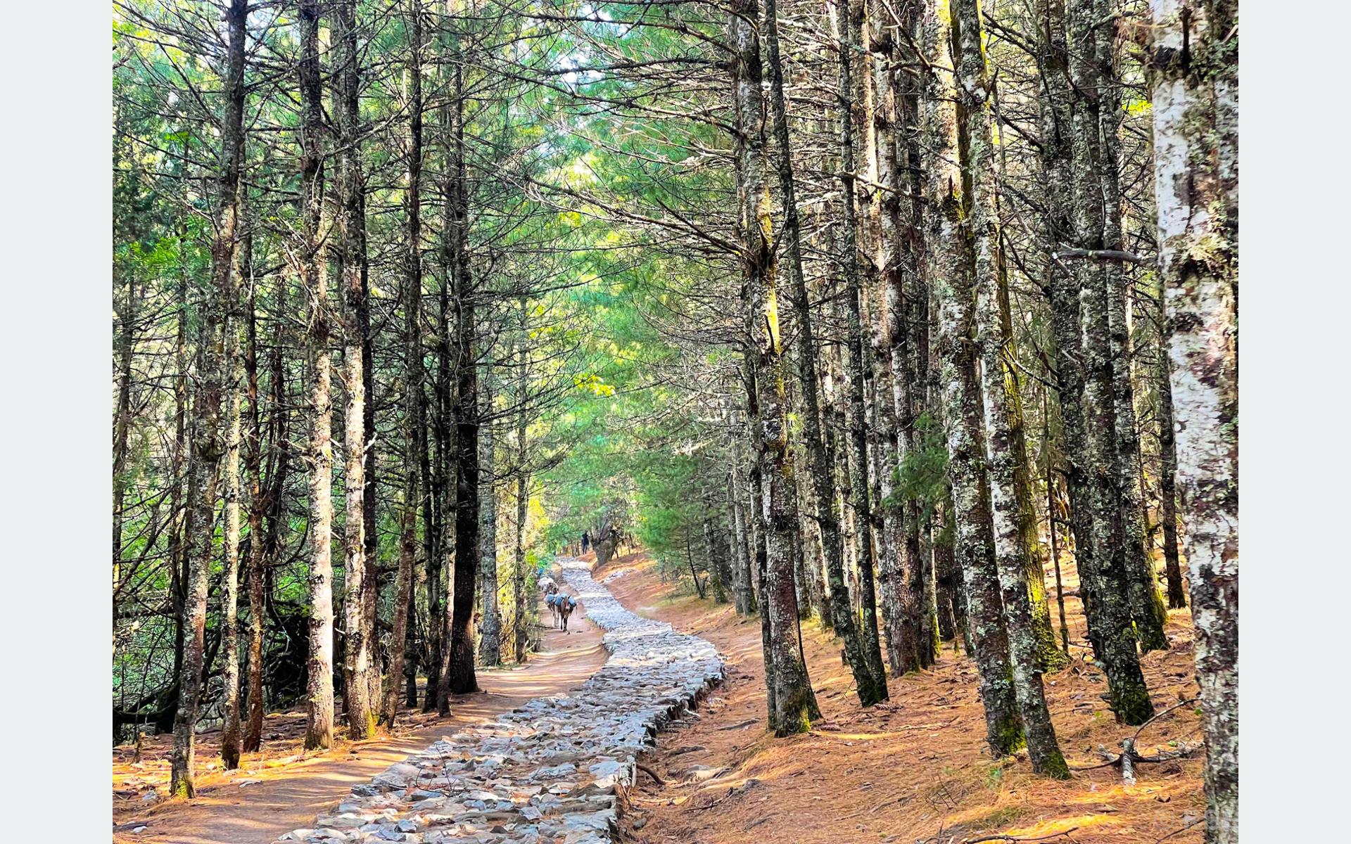 Rara Lake Enhances Tourist Experience with New Walking and Cycling Paths