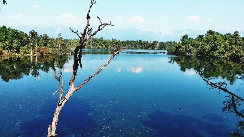 Tourism Booms at Ghodaghodi Lake in Kailali District