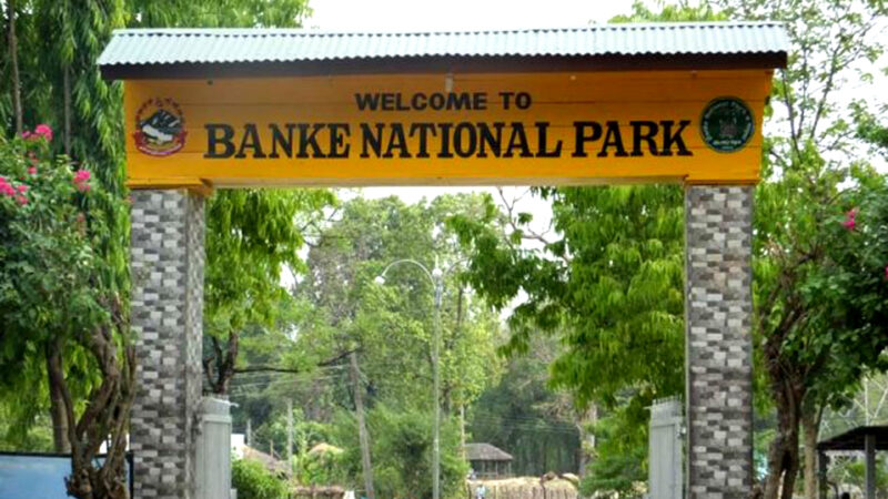 Tourism Potential Growing in Banke National Park, But Visitor Numbers Remain Low