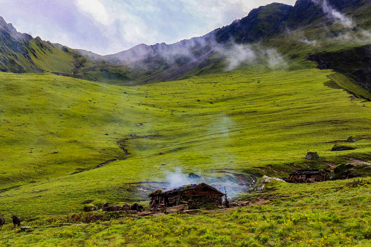 Dhorpatan Hunting Reserve: A Unique Blend of Wildlife, Culture, and Adventure Tourism