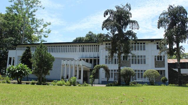 Diyalo Bangla Draws Over 63,000 Visitors in One Year: A New Tourist Landmark in Chitwan