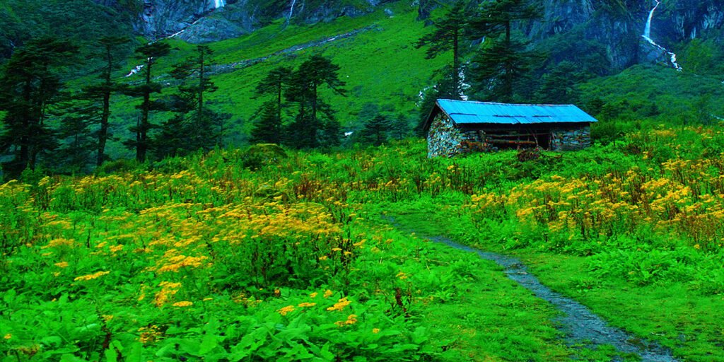 Discover the Untamed Beauty of Makalu Barun National Park: A Hidden Gem for Adventurous Tourists