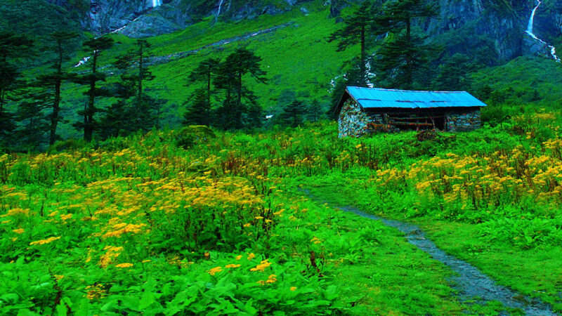 Discover the Untamed Beauty of Makalu Barun National Park: A Hidden Gem for Adventurous Tourists