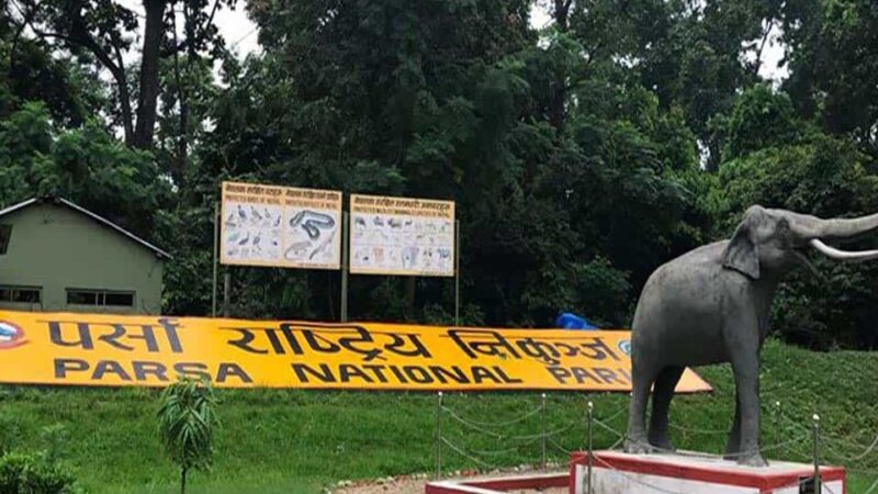 Parsa Wildlife Reserve: A Hidden Gem for Ecotourism Enthusiasts