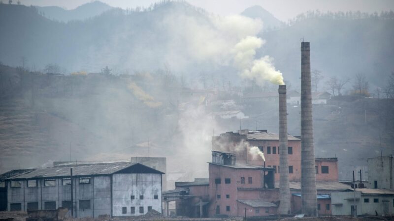 Impact of Air Pollution on Bees: A Threat to Tourism and Biodiversity