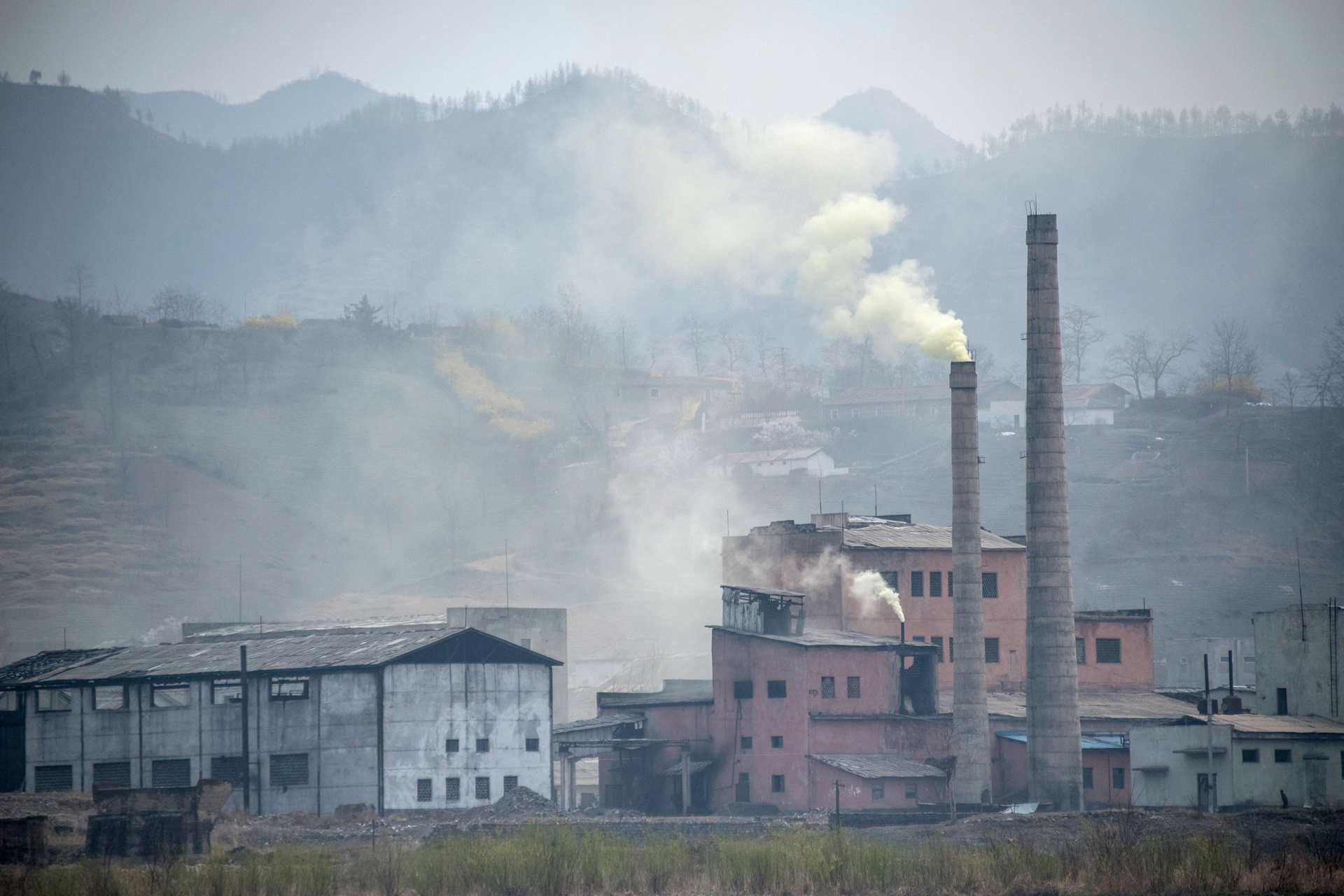Impact of Air Pollution on Bees: A Threat to Tourism and Biodiversity