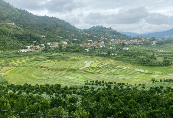 Balthali in Panauti Municipality: A Picturesque Blend of Freshly Planted Fields and Orange Orchards