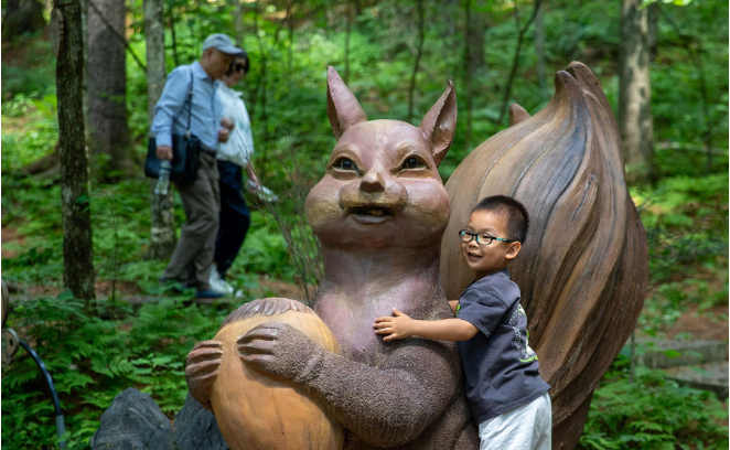 Yichun’s Shangganling Stream Forest Park: A Summer Hotspot for Tourists