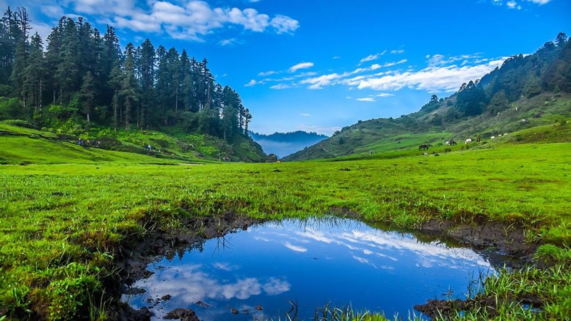 Exploring Khaptad National Park: A Hidden Gem for Nature Enthusiasts