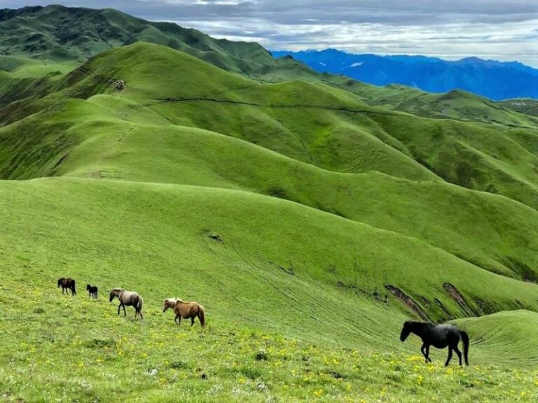 Badimalika: A Hidden Gem for Adventure Tourism in Nepal