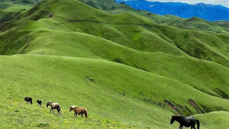 Badimalika: A Hidden Gem for Adventure Tourism in Nepal