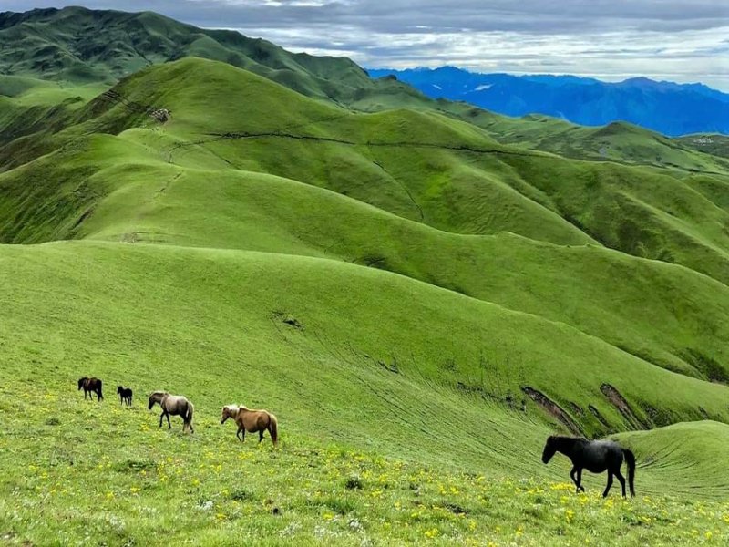 Badimalika: A Hidden Gem for Adventure Tourism in Nepal