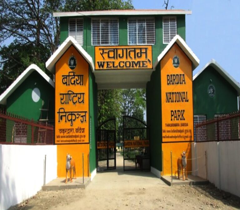 Bardiya National Park Boosts Tourism with Rich Wildlife and Scenic Attractions