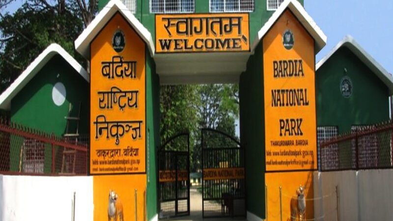Bardiya National Park Sees Rise in Tourist Arrivals, Boosting Local Economy