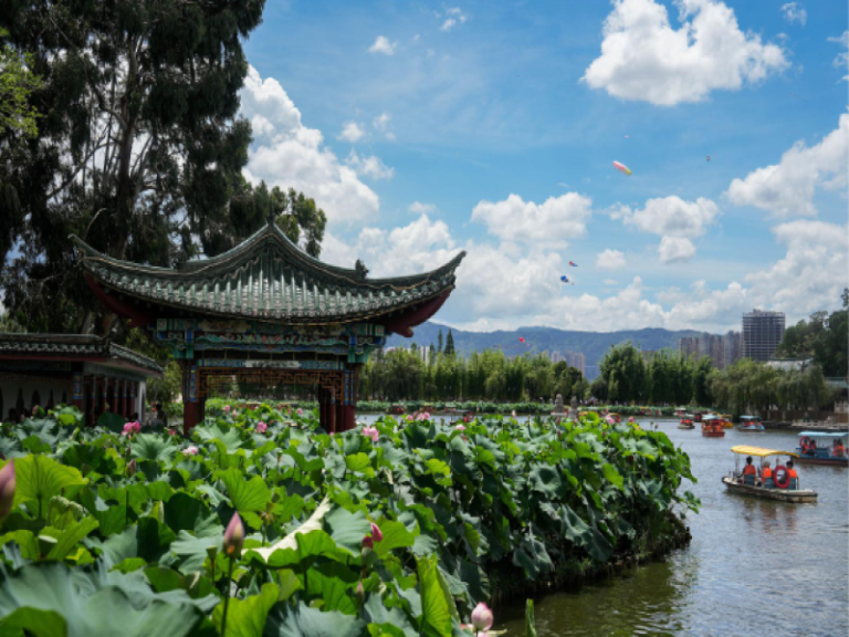Visitors Enjoy Lotus Flowers at Daguan Park in Kunming, Yunnan Province