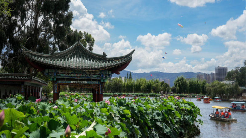 Visitors Enjoy Lotus Flowers at Daguan Park in Kunming, Yunnan Province