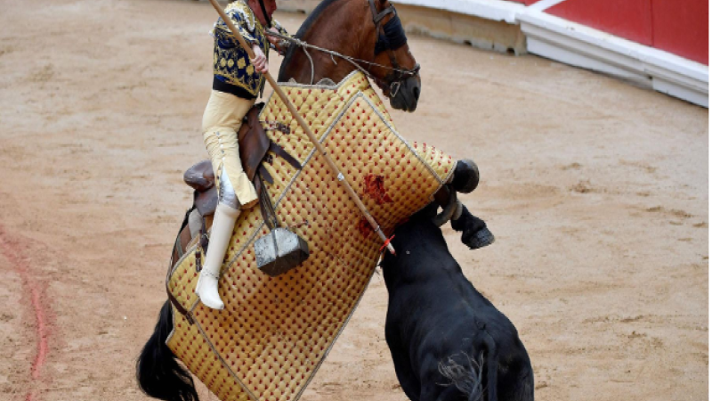 Bull Overthrows Picador’s Horse at San Fermin Festival in Pamplona