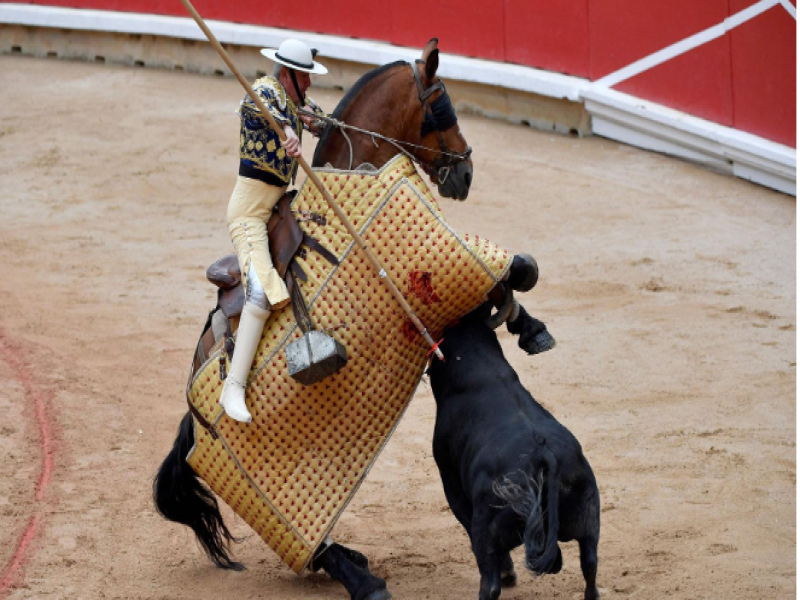 Bull Overthrows Picador’s Horse at San Fermin Festival in Pamplona