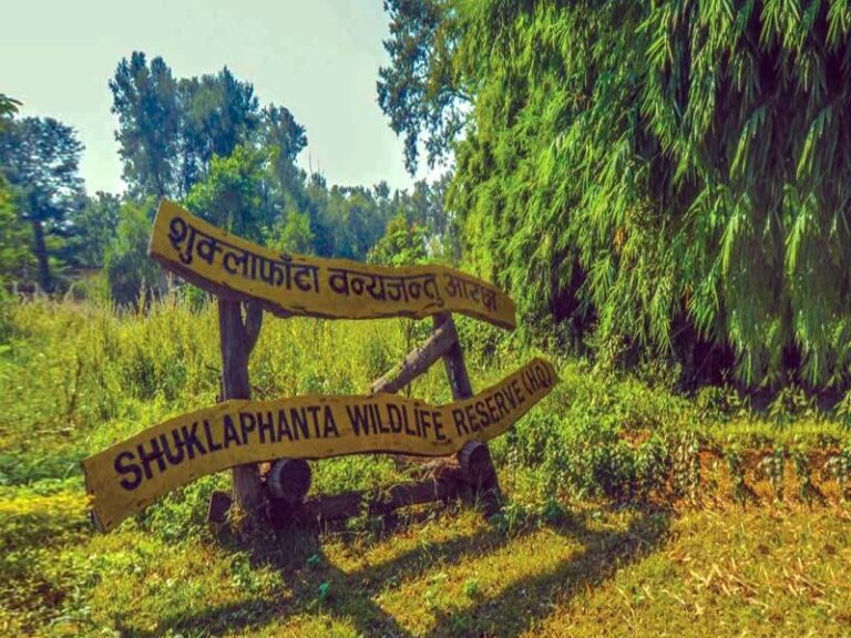 Shuklaphanta Sees Remarkable Tourist Turnout with 2,300+ Visitors in Six Months