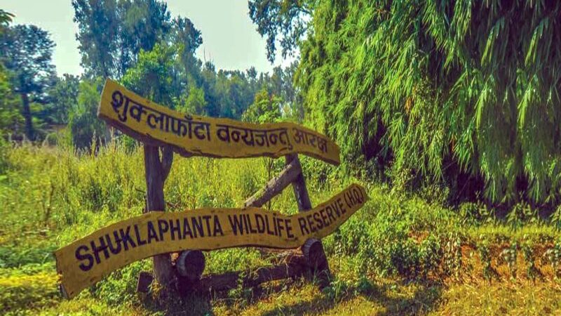 Exploring the Untouched Wilderness of Shuklaphanta National Park