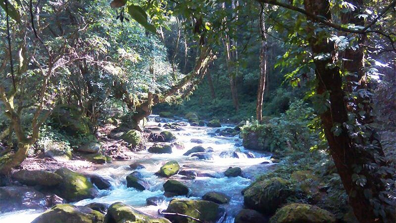 Discover Shivapuri: A Hidden Gem for Hiking Enthusiasts
