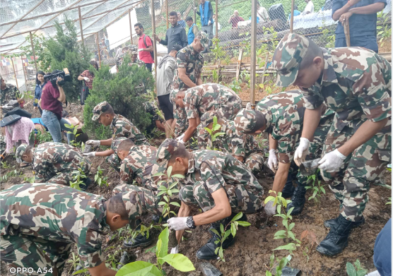 Thousand Saplings Planted at World Heritage Site Swyambhu