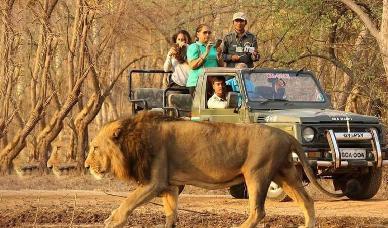 Exploring Nepal’s Premier Wildlife Safaris and National Parks